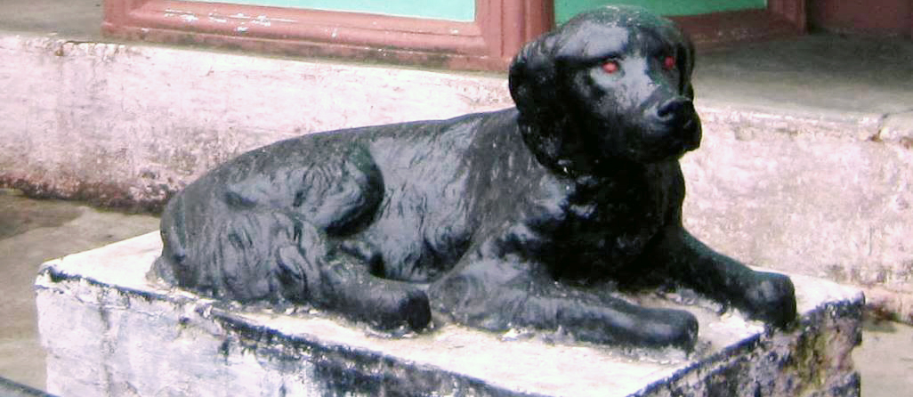 Did you know about this fascinating dog statue ?